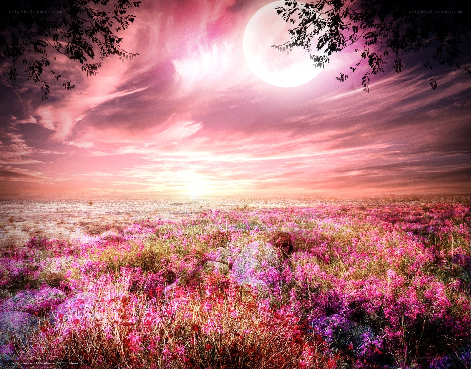 Pink flower field under full moon