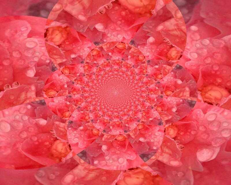 Pink flower fractal pattern