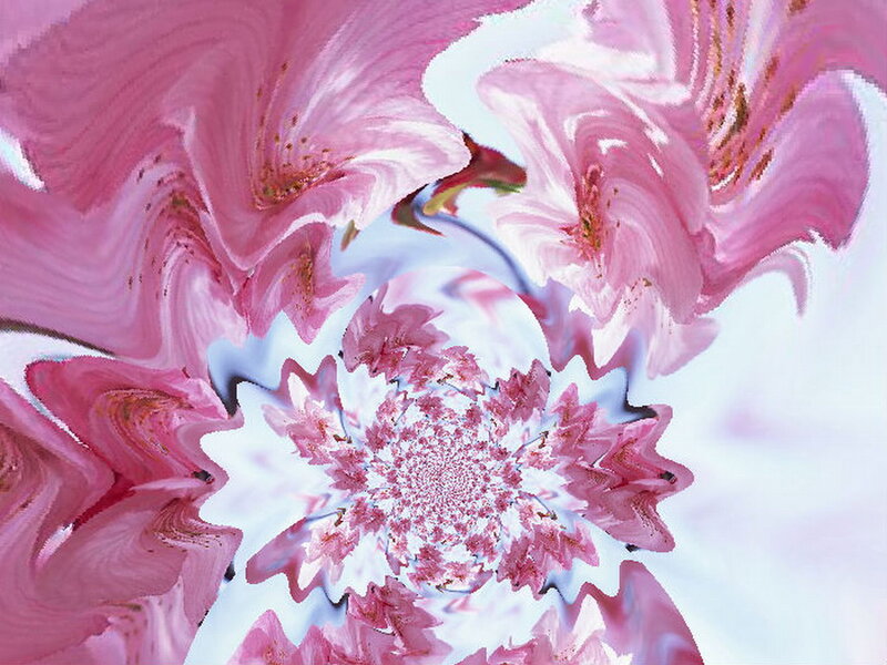 Pink Flower Fractal