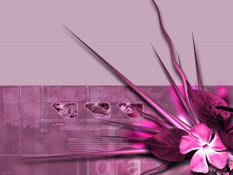 Pink Flower Illustration — Purple, Calm