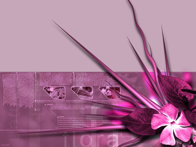 Pink Flower Illustration — Purple