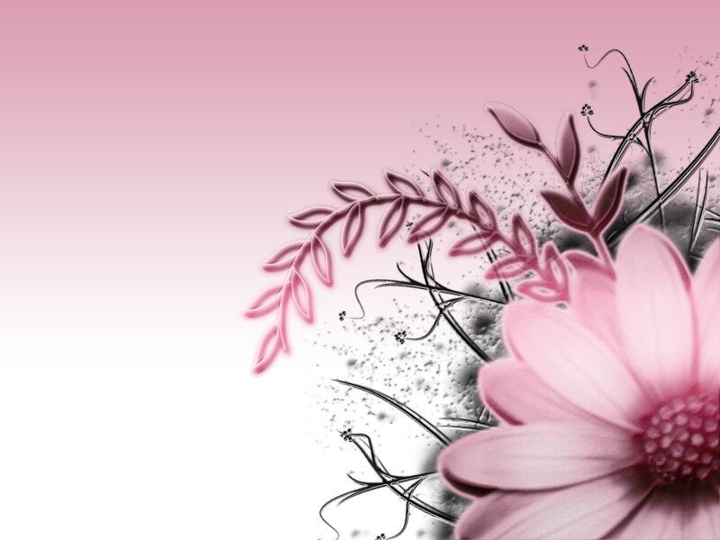 Pink Flower Illustration — Serene, Digital Art