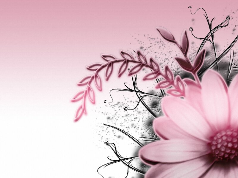 Pink Flower Illustration