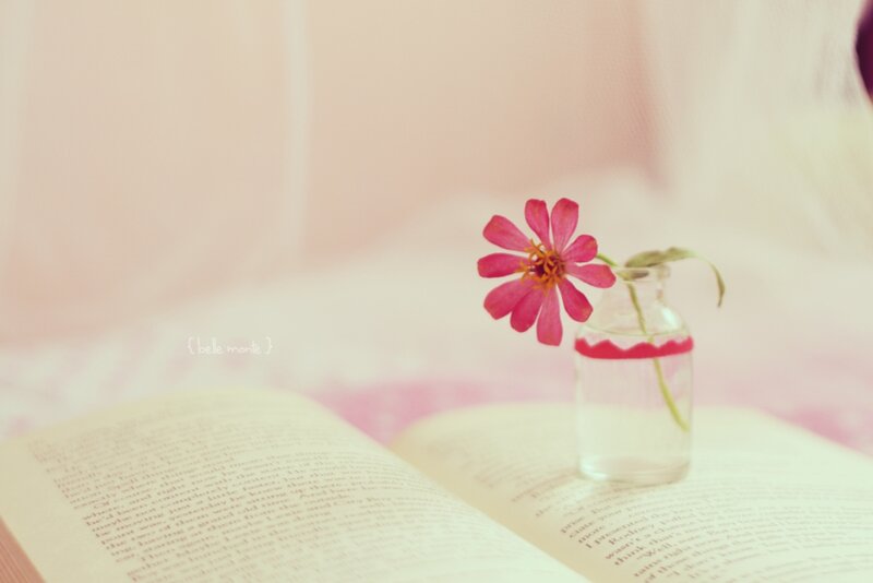Pink Flower in Bottle