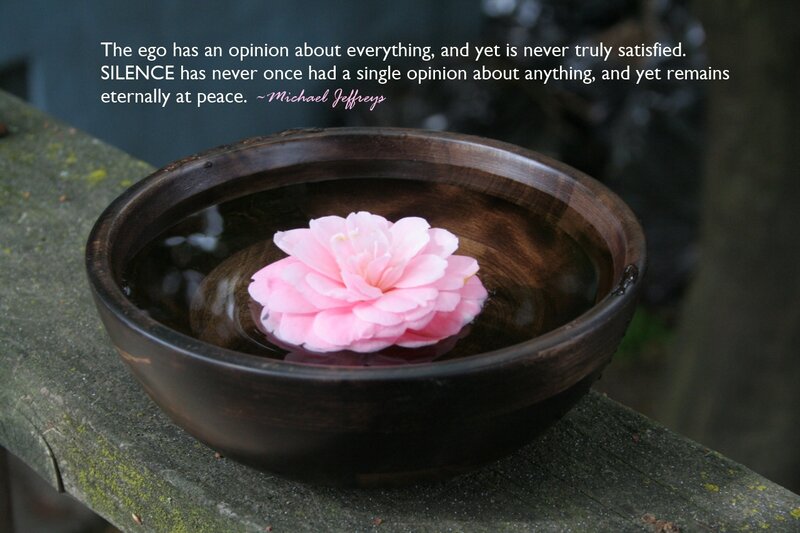 Pink Flower in Bowl — Brown