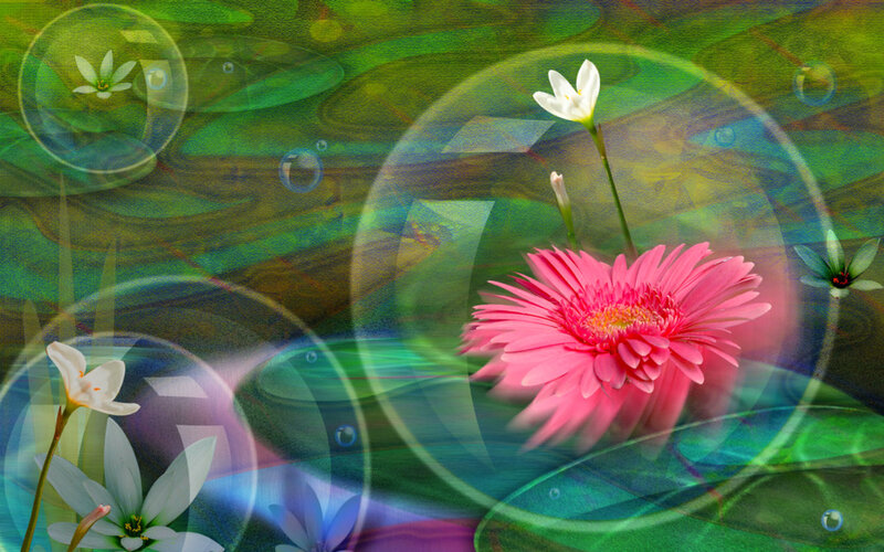 Pink Flower in Bubbles