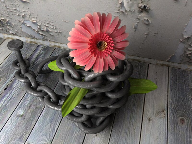 Pink Flower in Chain — Contrasting, 3d Render
