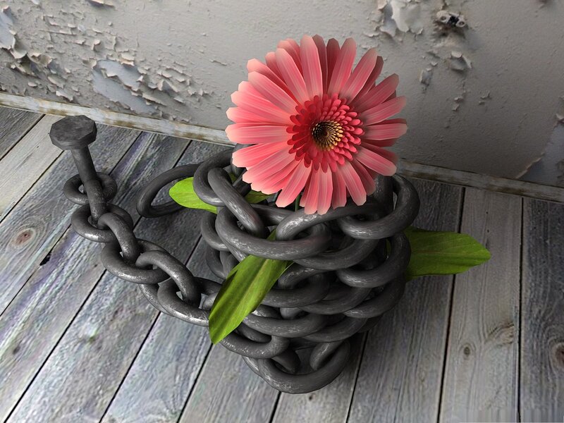 Pink Flower in Chain — Contrasting