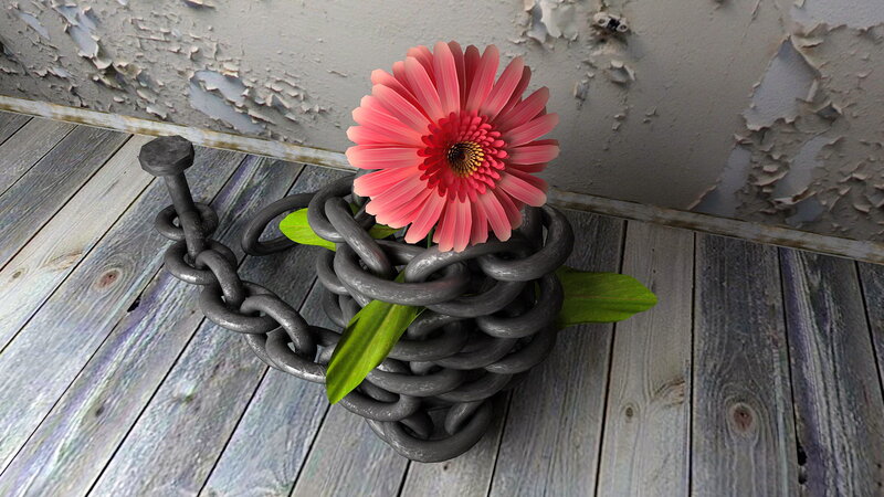 Pink Flower in Chain — Somber