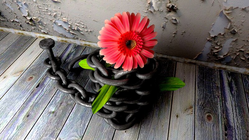 Pink Flower in Chain