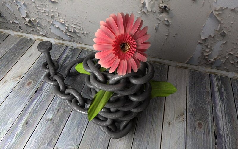 Pink Flower in Chains