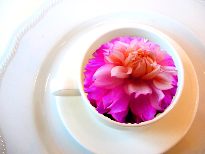 Pink Flower in Cup — White