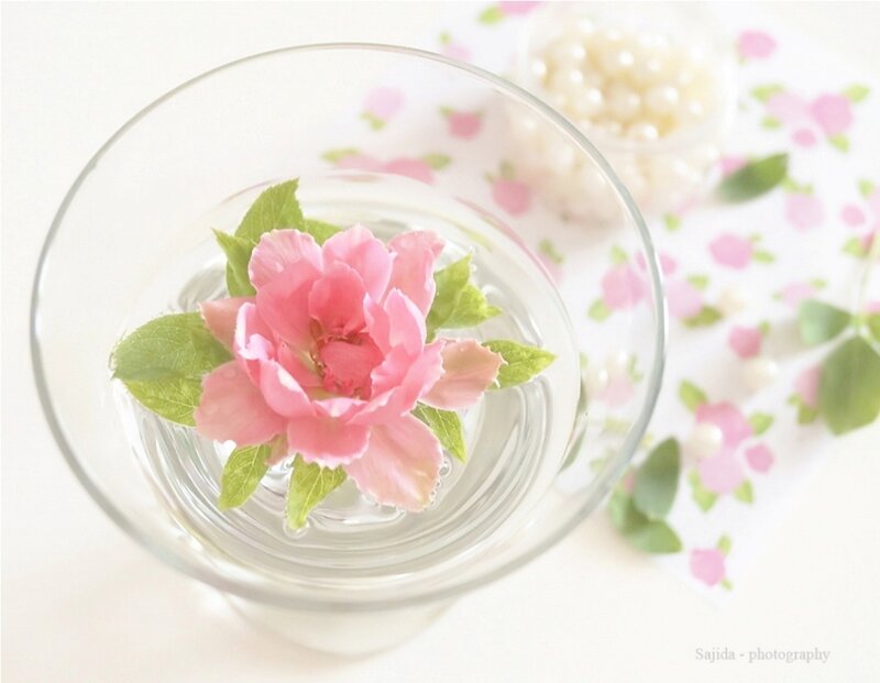 Pink Flower in Glass Bowl — Serene