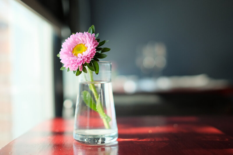Pink Flower in Glass — Calm