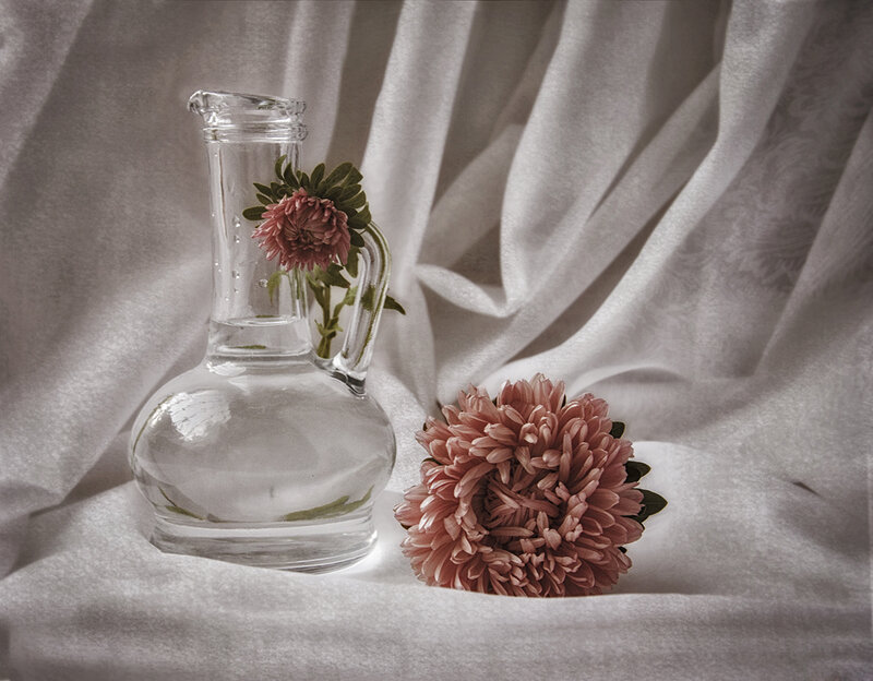 Pink Flower in Glass Carafe