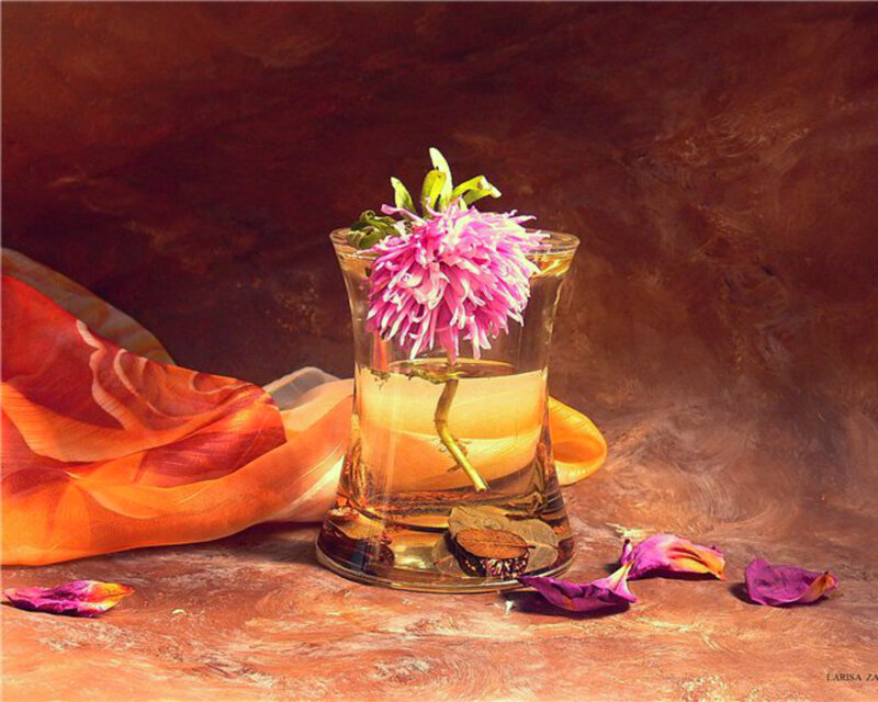 Pink Flower in Glass — Orange