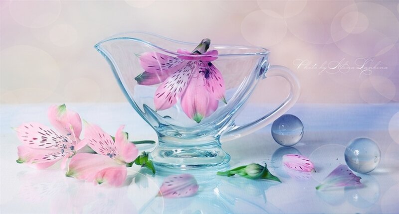 Pink Flower in Glass Pitcher