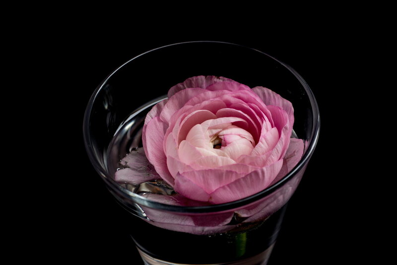 Pink Flower in Glass — Serene