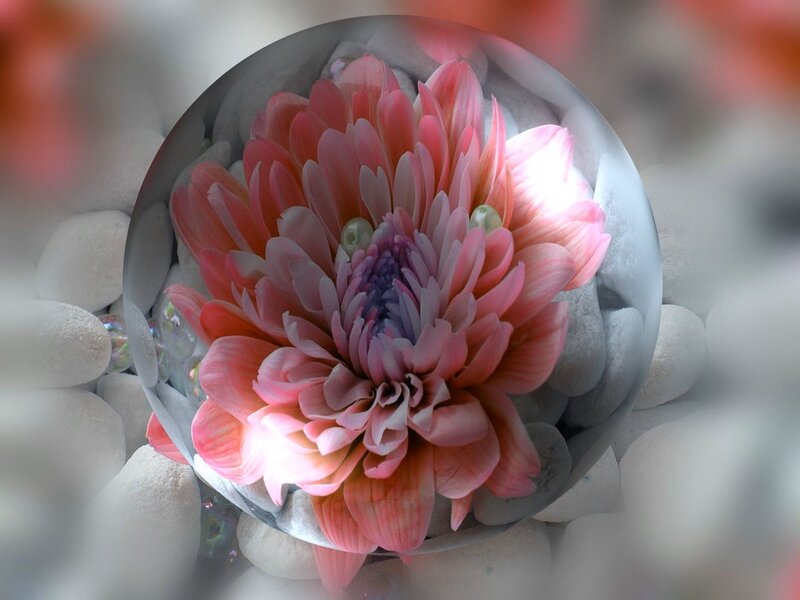 Pink Flower in Glass Sphere