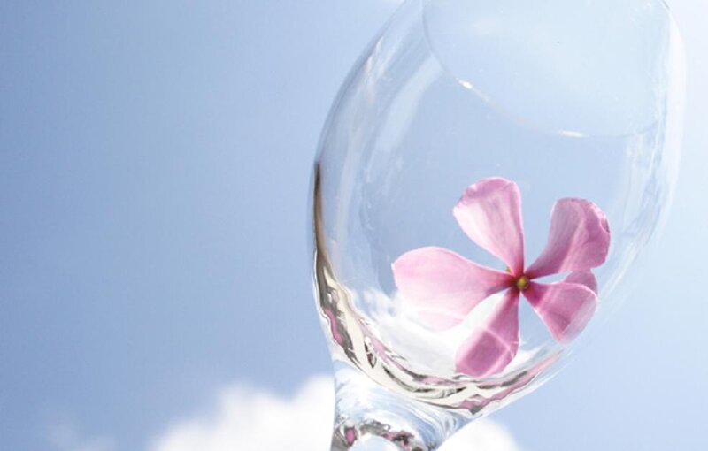 Pink Flower in Glass