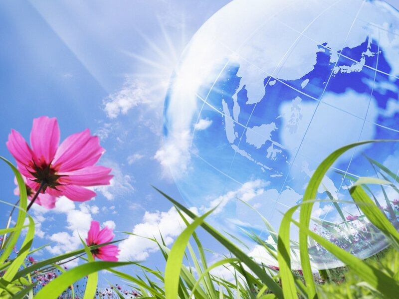 Pink Flower in Grass — Blue, Serene
