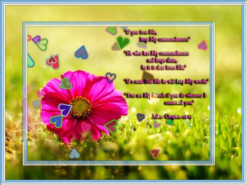 Pink Flower in Grass — Green