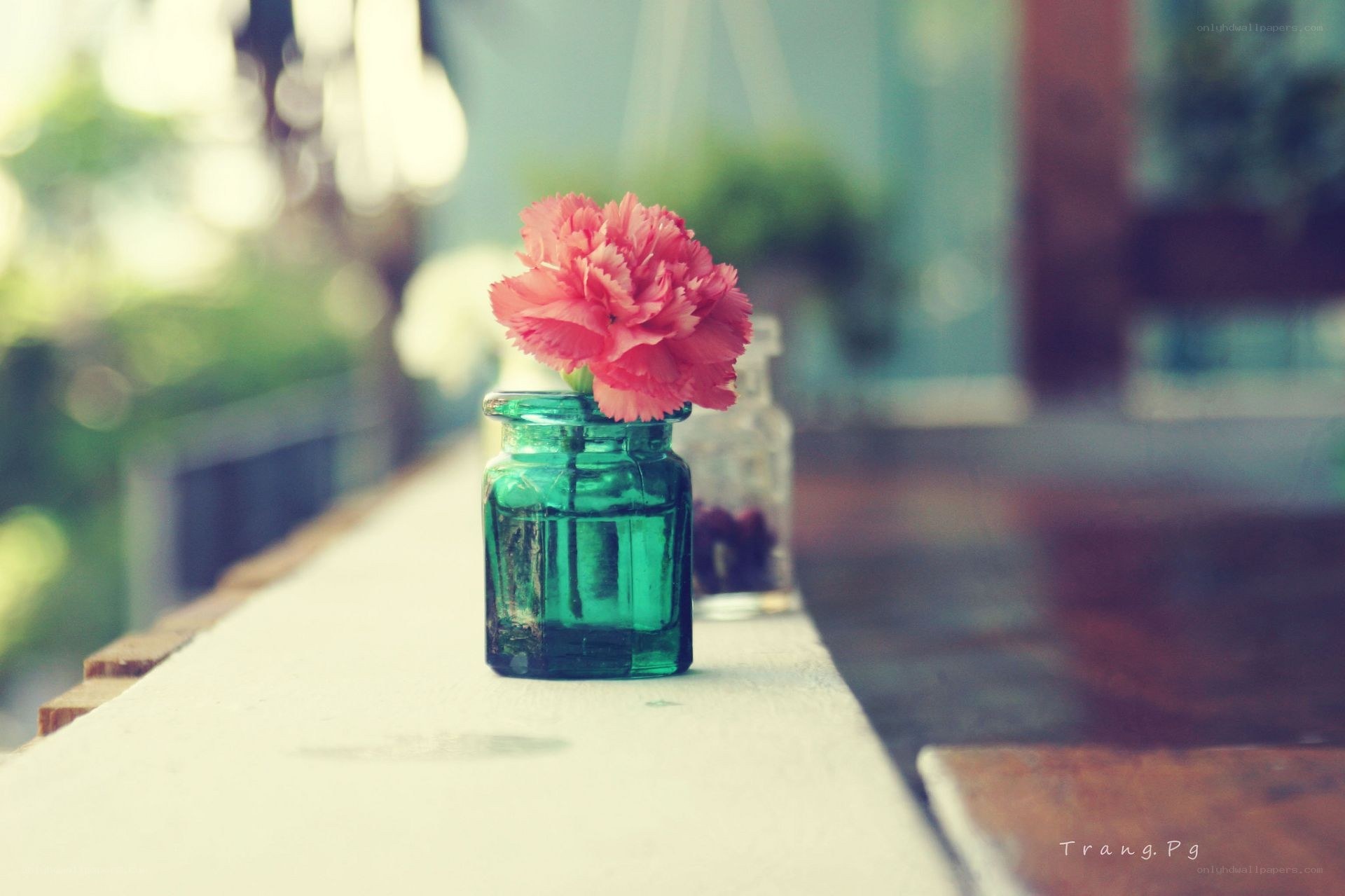 Pink flower in green jar