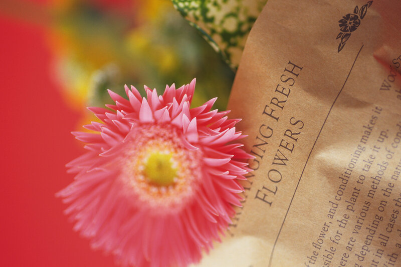 Pink Flower in Paper