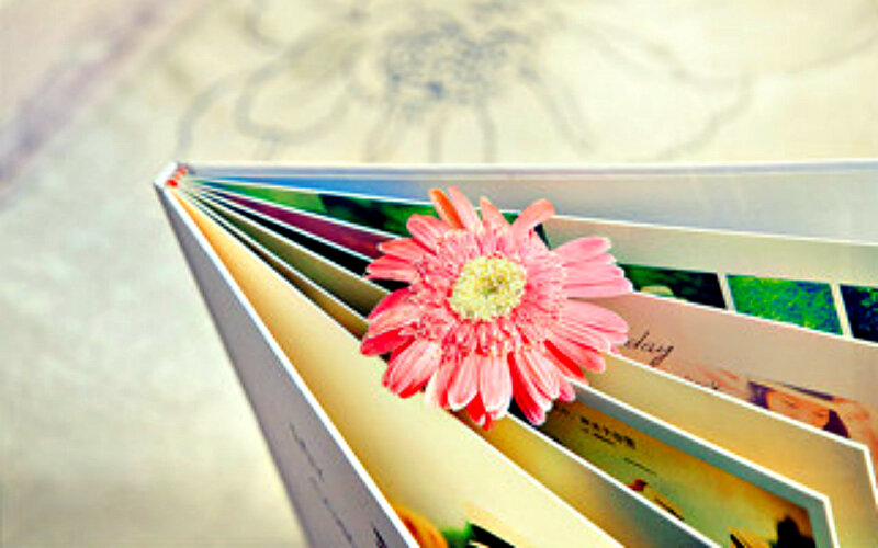 Pink Flower in Photo Album