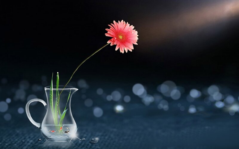 Pink Flower in Pitcher