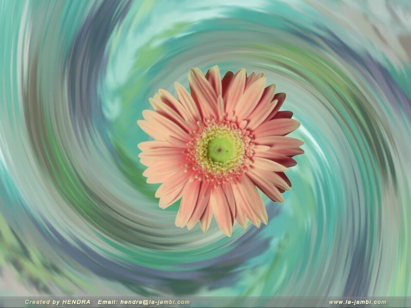 Pink flower in swirling background