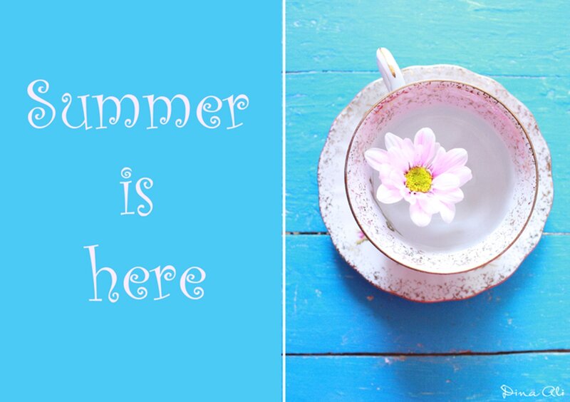 Pink Flower in Teacup — Blue
