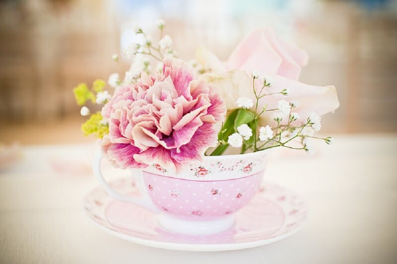 Pink Flower in Teacup