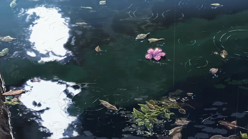 Pink Flower in Water — Green