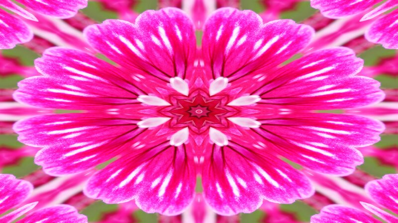 Pink Flower Kaleidoscope — Symmetrical, Abstract