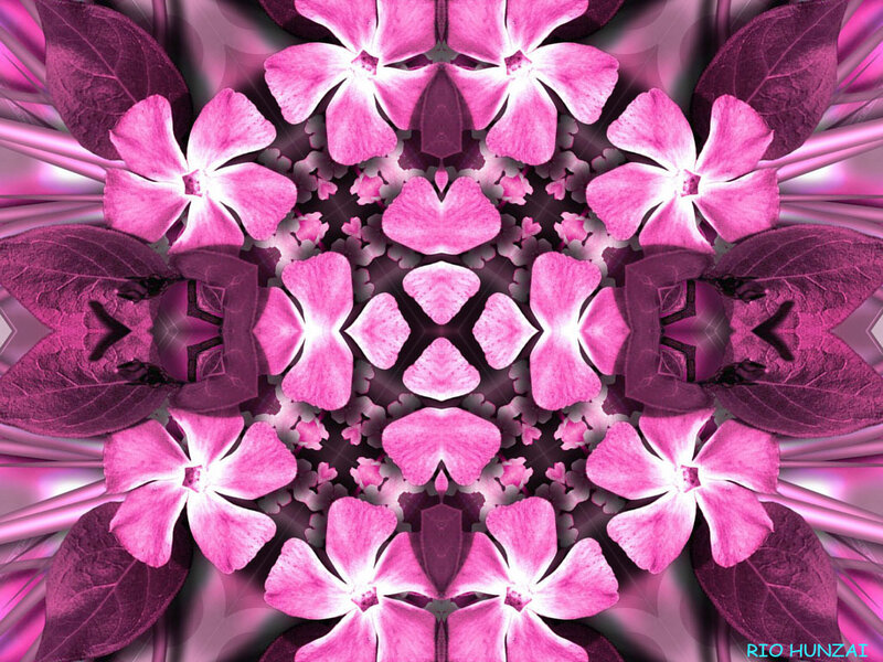 Pink flower kaleidoscope