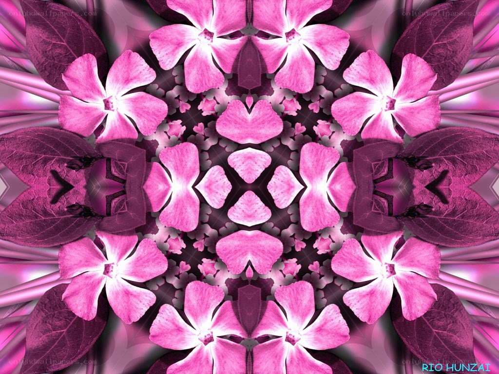 Pink flower kaleidoscope