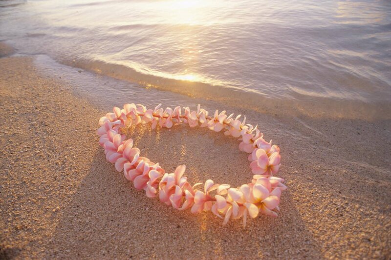 Pink Flower Lei on Sand