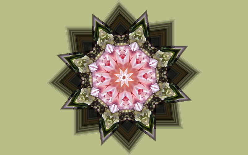 Pink Flower Mandala — Calm, Digital Art