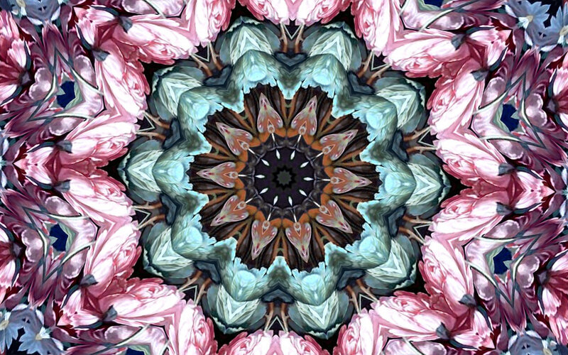Pink Flower Mandala — Calm