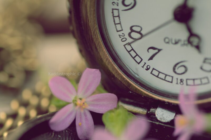 Pink Flower Near Clock