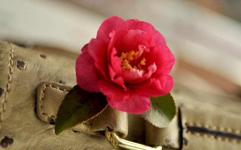 Pink Flower on Bag