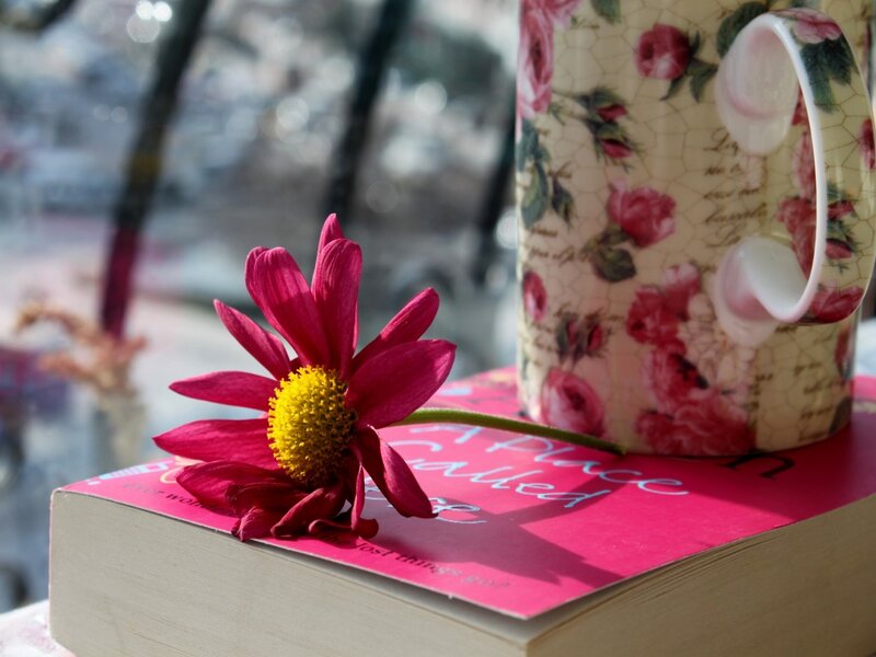 Pink Flower on Book — Serene, Morning, Photograph, Mug