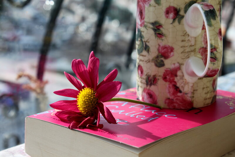 Pink Flower on Book — Serene, Morning