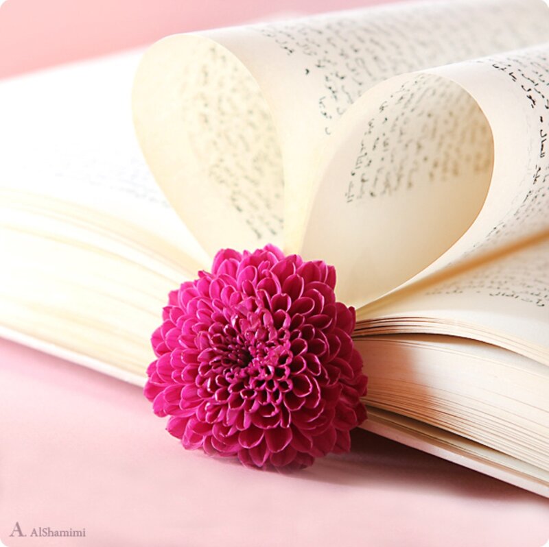 Pink Flower on Book — Serene, Photograph