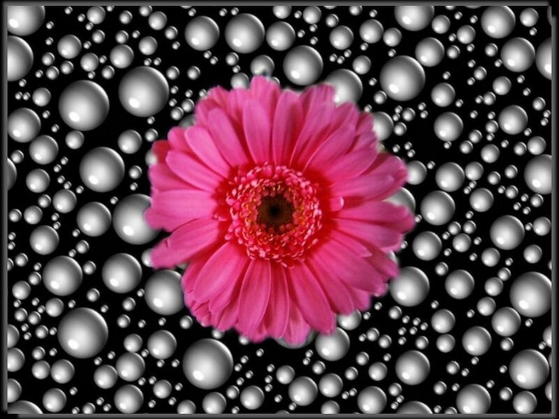 Pink flower on bubble background