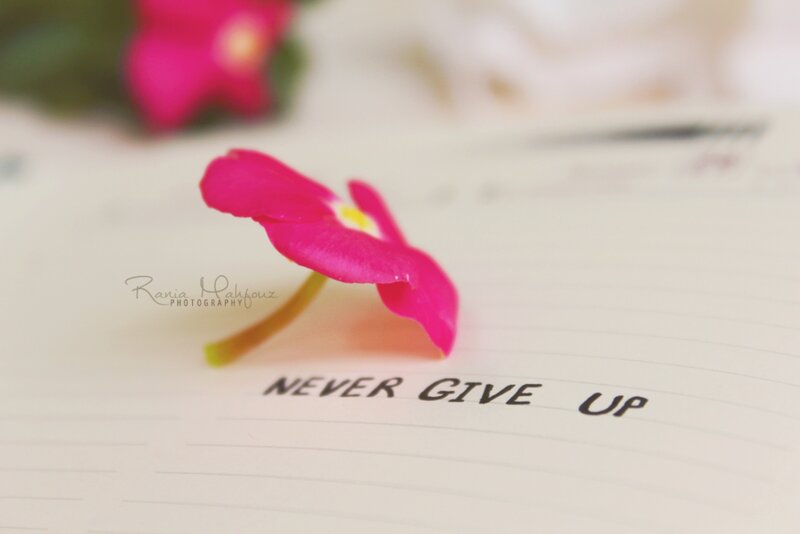 Pink Flower on Notebook
