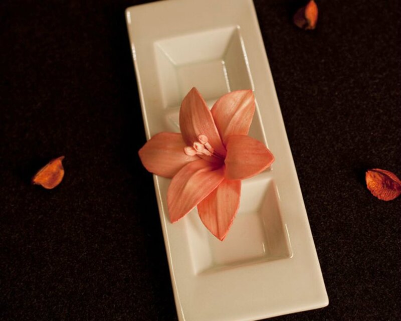 Pink Flower on Plate — White