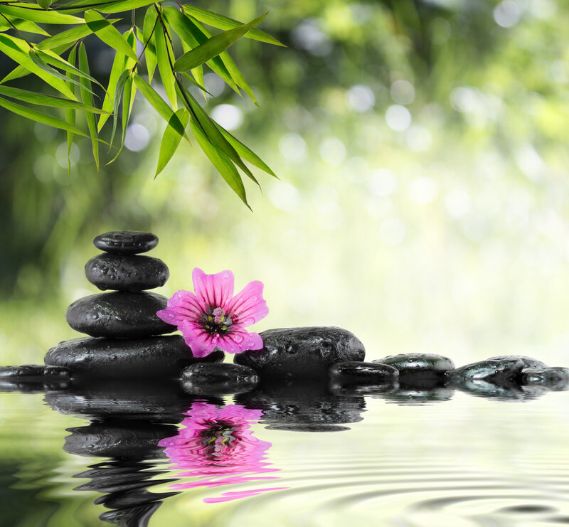 Pink Flower on Rocks — Green