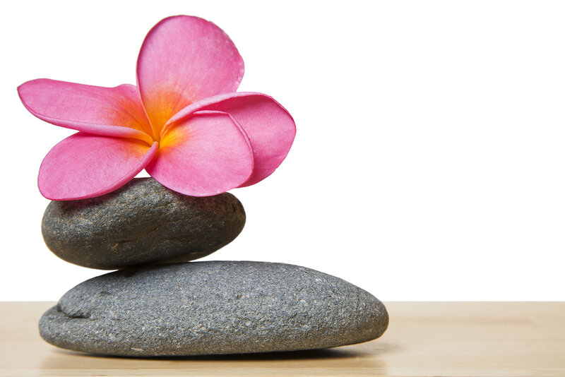 Pink Flower on Rocks — Serene